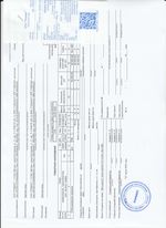 Кассовые чеки с подтверждением в Светлом